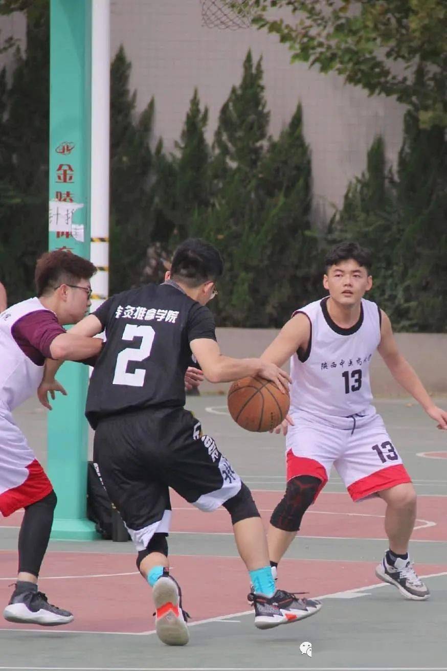 【panda sports】
球场激情洒汗水 针推男篮No. I(图15)