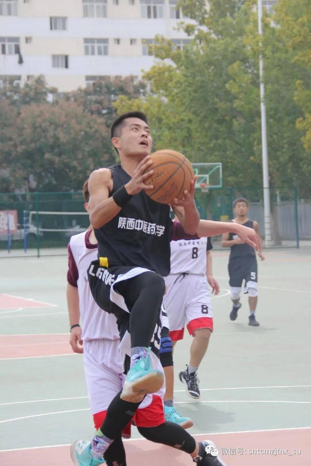 【panda sports】
球场激情洒汗水 针推男篮No. I(图17)