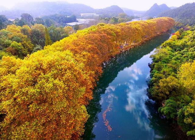 【熊猫体育】阿联酋裁判吹中叙战 曾多次执法中超队亚冠比赛(图3) 熊猫体育